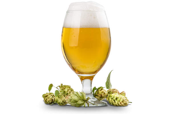 Copa de cerveza Copa de cerveza